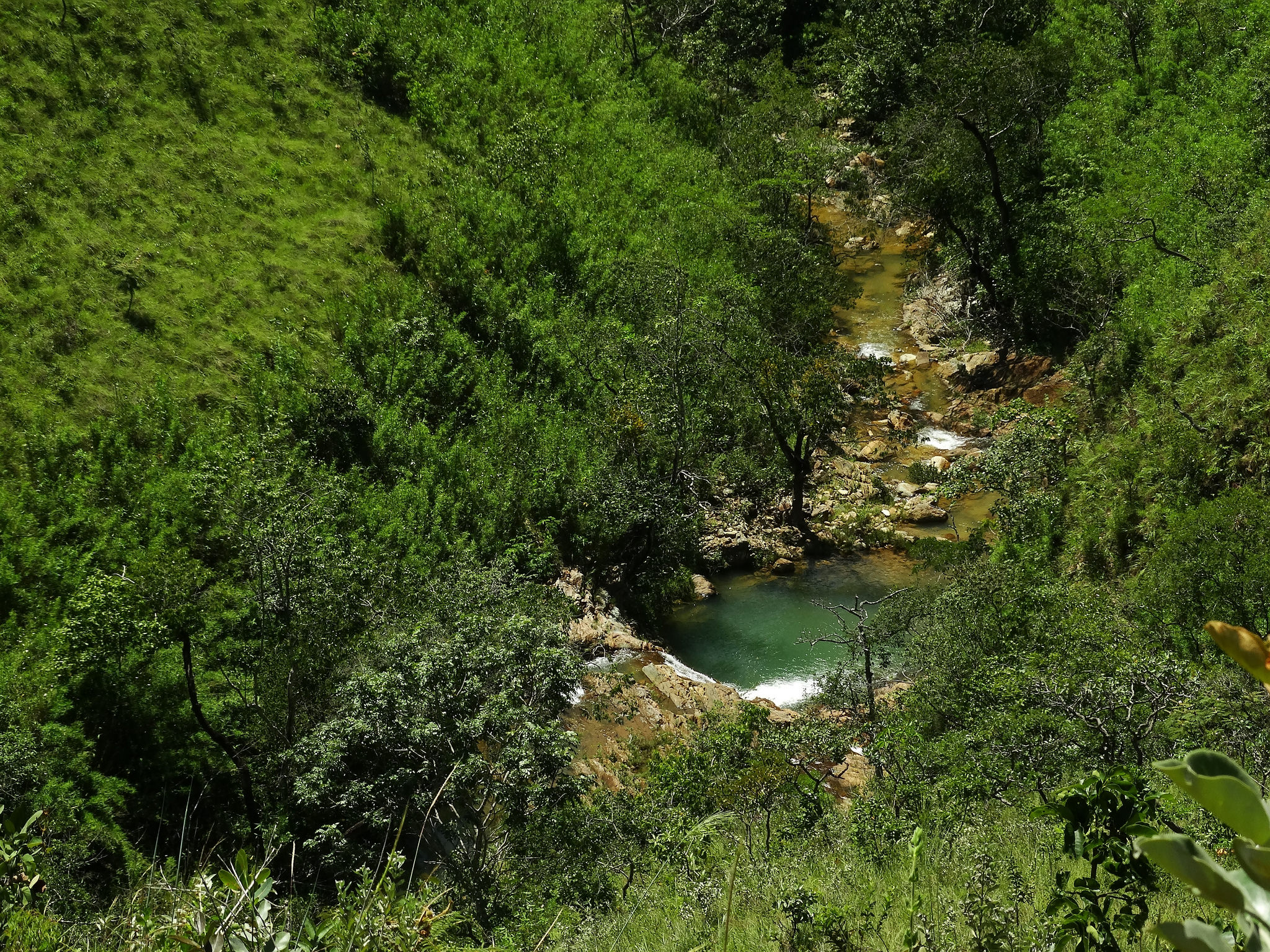 Rio Monteiro (Cachoeira da Safira)